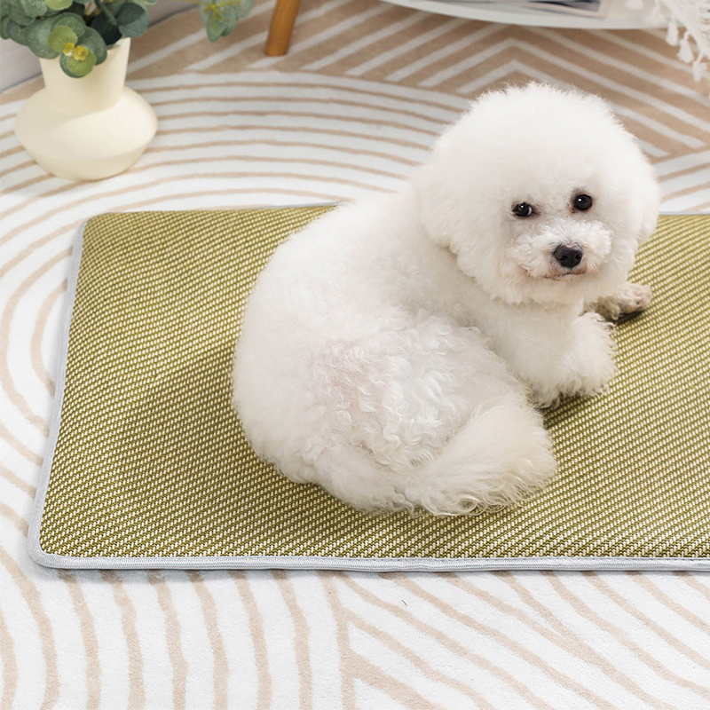 Sponge Rattan Sleeping Pad Summer Cooling Pet Dog Cat Mat Bed