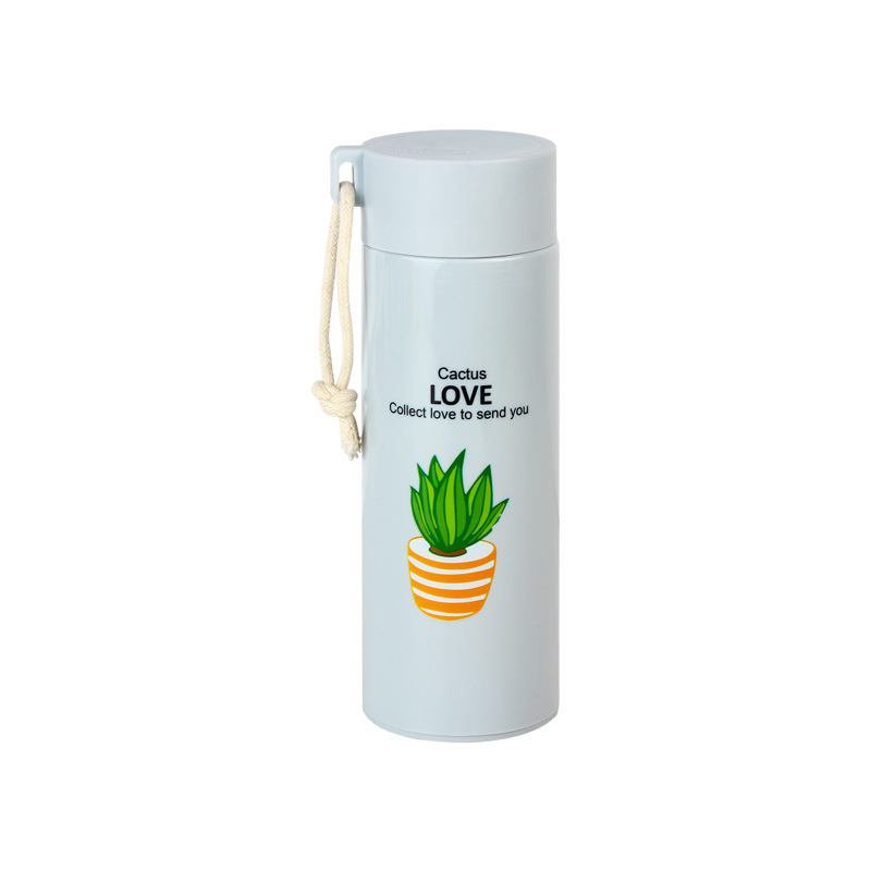 300ml Wheat straw double wall travel cactus glass water bottles