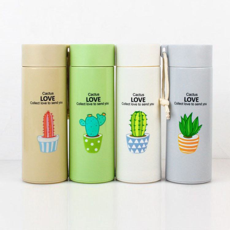 300ml Wheat straw double wall travel cactus glass water bottles