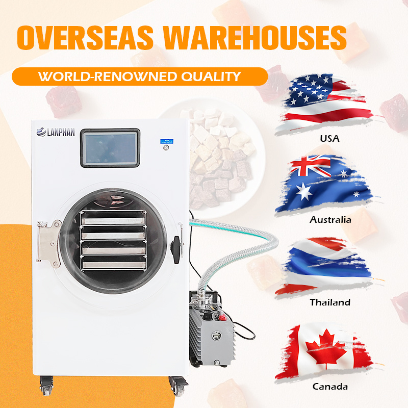 Best Quality 10kg 15kg Freeze Dryer Food Drying Lyophilizer Machine Price For Home With Oil Free Vacuum Pump USA Instock