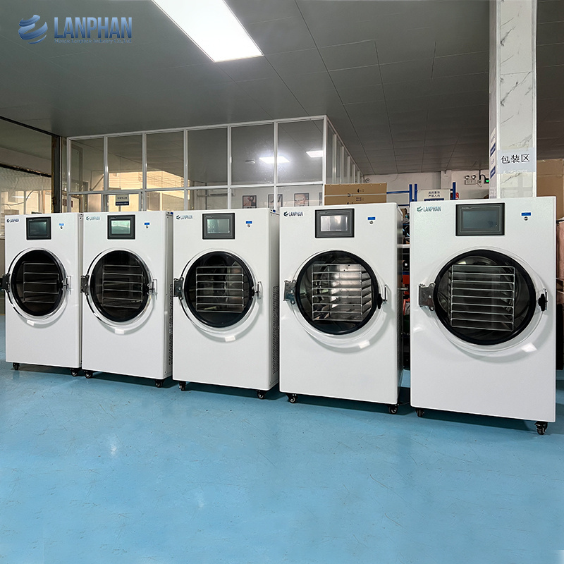 Industrial 10kg 15kg Dry Machine Vacuum Liofilizador Freeze Dryer Price List Egg