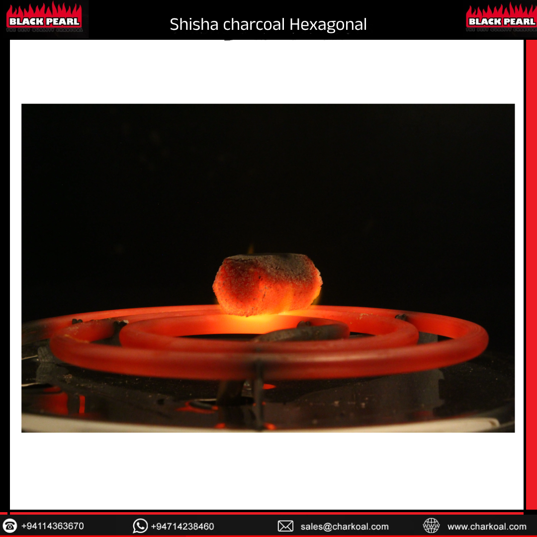 Top Quality Shisha Coal Fast Burning Hookah Charcoal Custom Packing OEM Supports From Sri Lanka