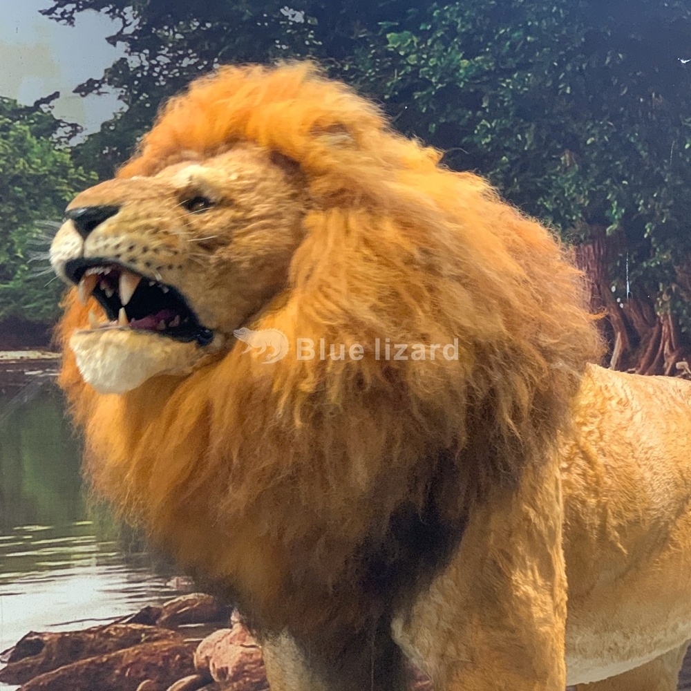 Life Size Indoor Animatronic Animal Lion Animals Lion Model