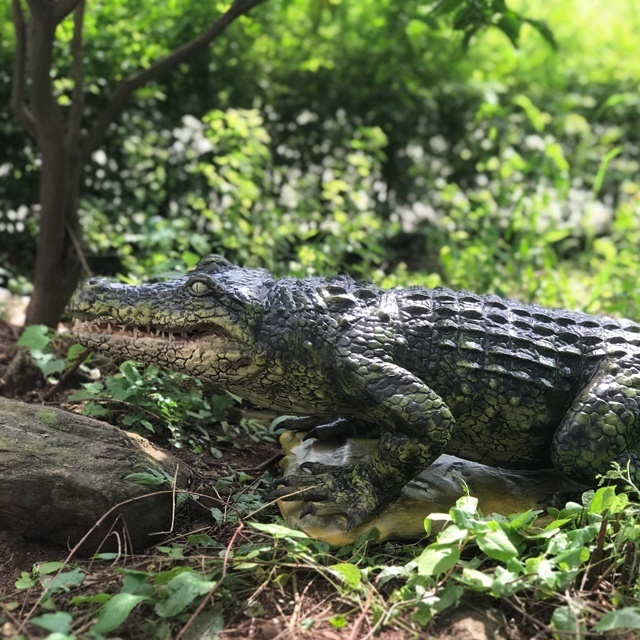 Outdoor Realistic Life Size Animatronic Animal Molds Simulated Crocodile Model  For Escape Room