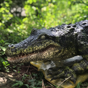 Outdoor Realistic Life Size Animatronic Animal Molds Simulated Crocodile Model  For Escape Room