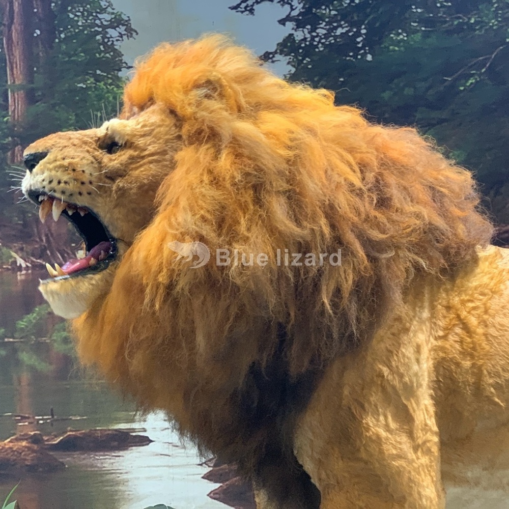 Life Size Indoor Animatronic Animal Lion Animals Lion Model