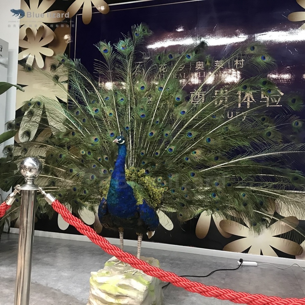 Factory Custom handmade best peacock sculpture for outdoor decoration