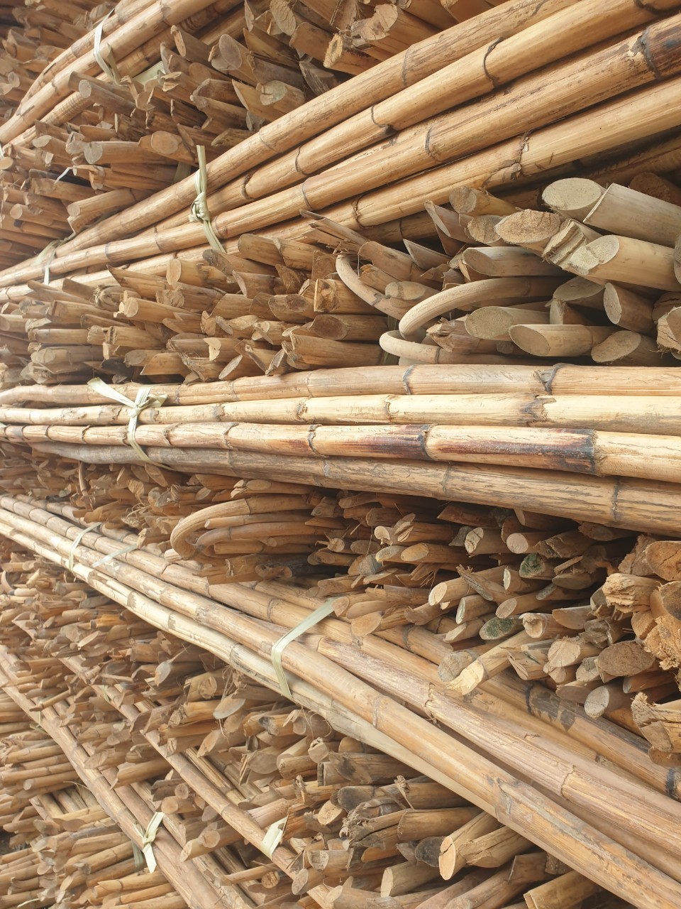 Raw Manau Rattan Bamboo Cane/Rattan Poles/ Wholesale Straight Rattan with Strong Blue Lotus Farm