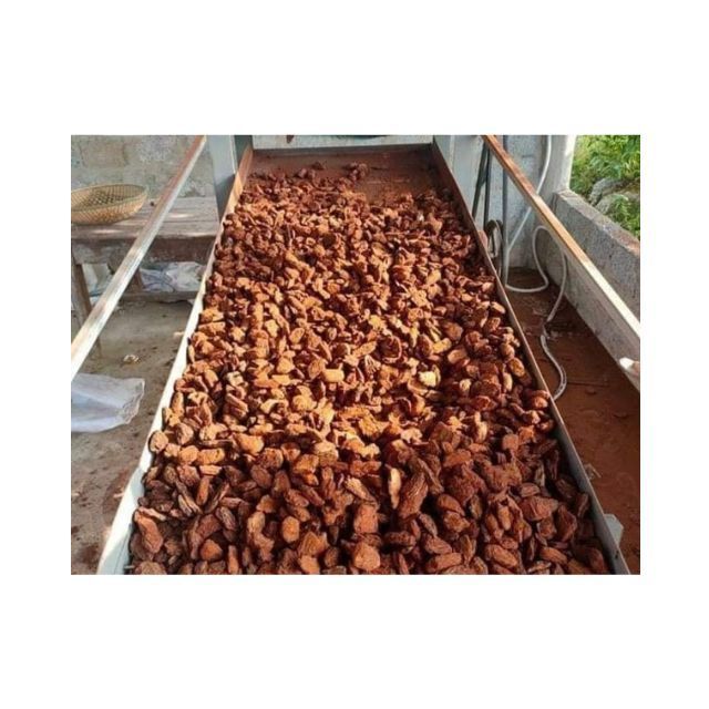 Best Product made in Viet Nam Pine Bark product best price from Blue Lotus Farm Hot product 100% origin Viet Nam