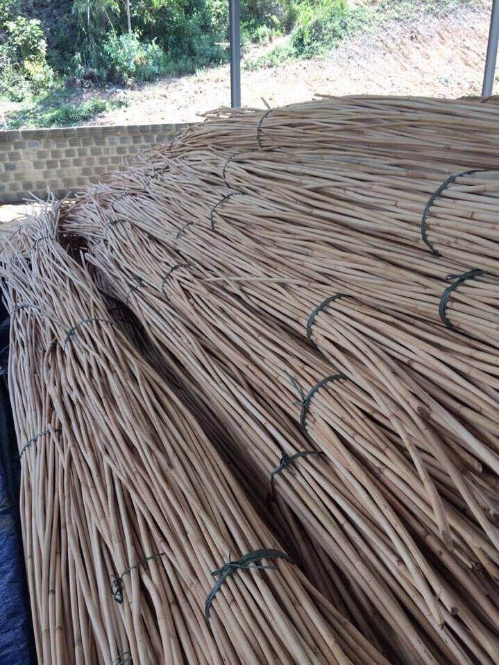 Hight Quality Rattan Pole/ Rattan Cane