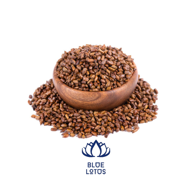 HIGH QUALITY CASSIA TORA SEED FROM VIETNAM