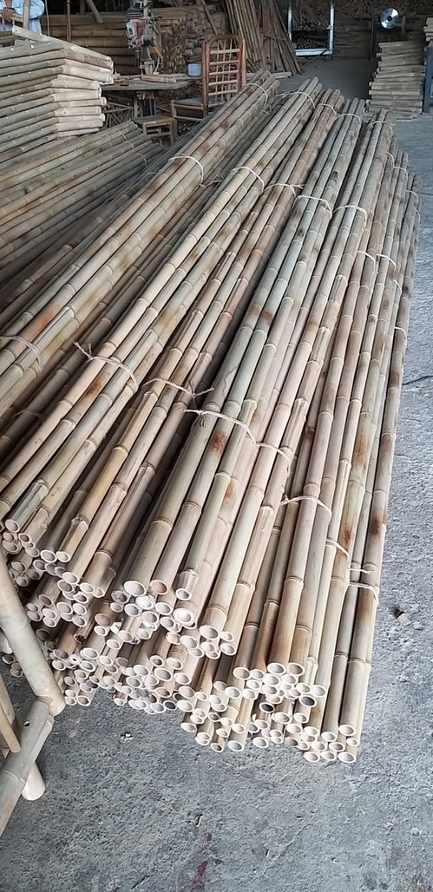 Bamboo Poles Nature Raw Bamboo Poles Straight Pole Bamboo From Planted Forest Viet Nam