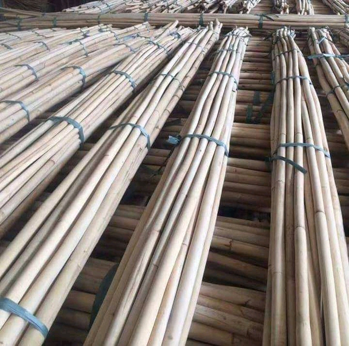 Hight Quality Rattan Pole/ Rattan Cane