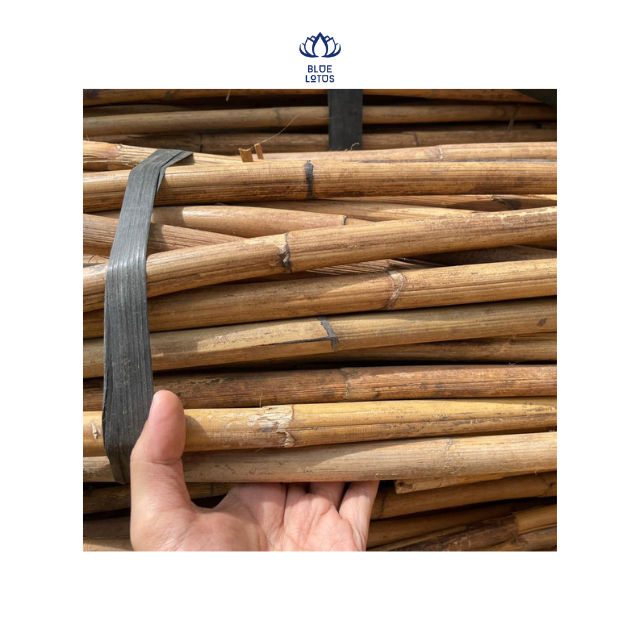 Raw Manau Rattan Bamboo Cane/Rattan Poles/ Wholesale Straight Rattan with Strong Blue Lotus Farm