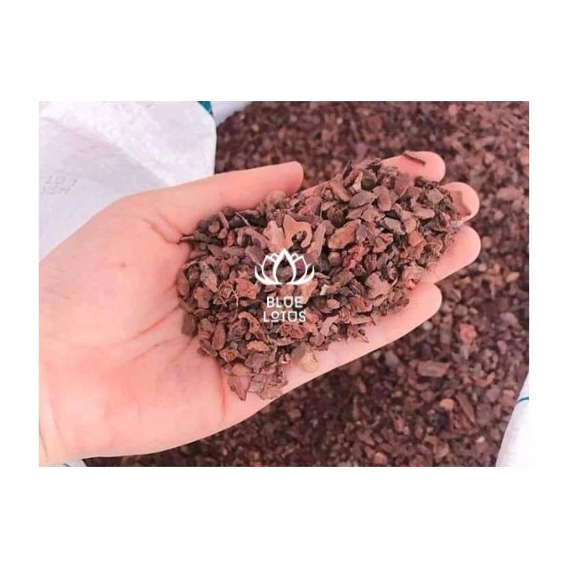 Best Product made in Viet Nam Pine Bark best price from Blue Lotus Farm Hot product 100% origin Viet Nam made plants