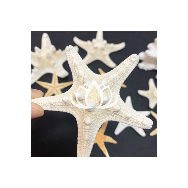 100% High Quality Sea animal sculpture coral conch sea star statue coral crafts for aquarium decor