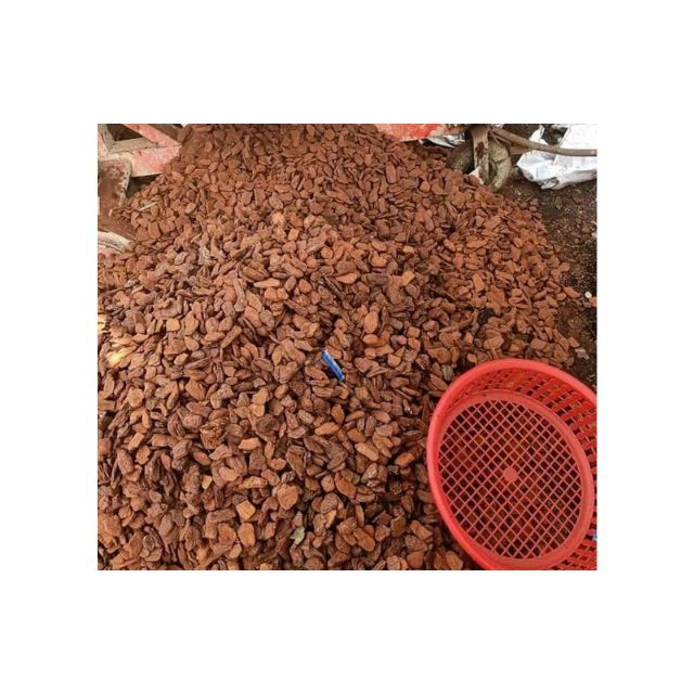 Best Product made in Viet Nam Pine Bark best price from Blue Lotus Farm Hot product 100% origin Viet Nam made plants