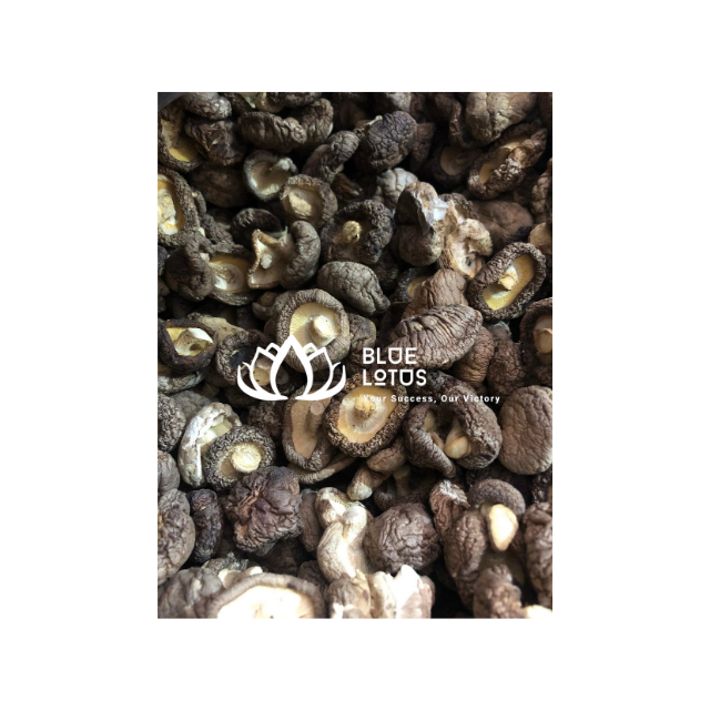 DRIED SHIITAKE MUSHROOM FROM VIETNAM