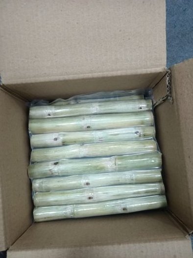 Frozen Sugarcane Fruit Chunk Tidbits water agriculture Vietnam tropical Small Sugarcane fruit Export Factory IQF Cane