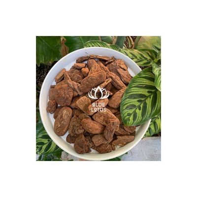 Best Product made in Viet Nam product Pine Bark best price from Blue Lotus Farm Hot product 100% origin Viet Nam