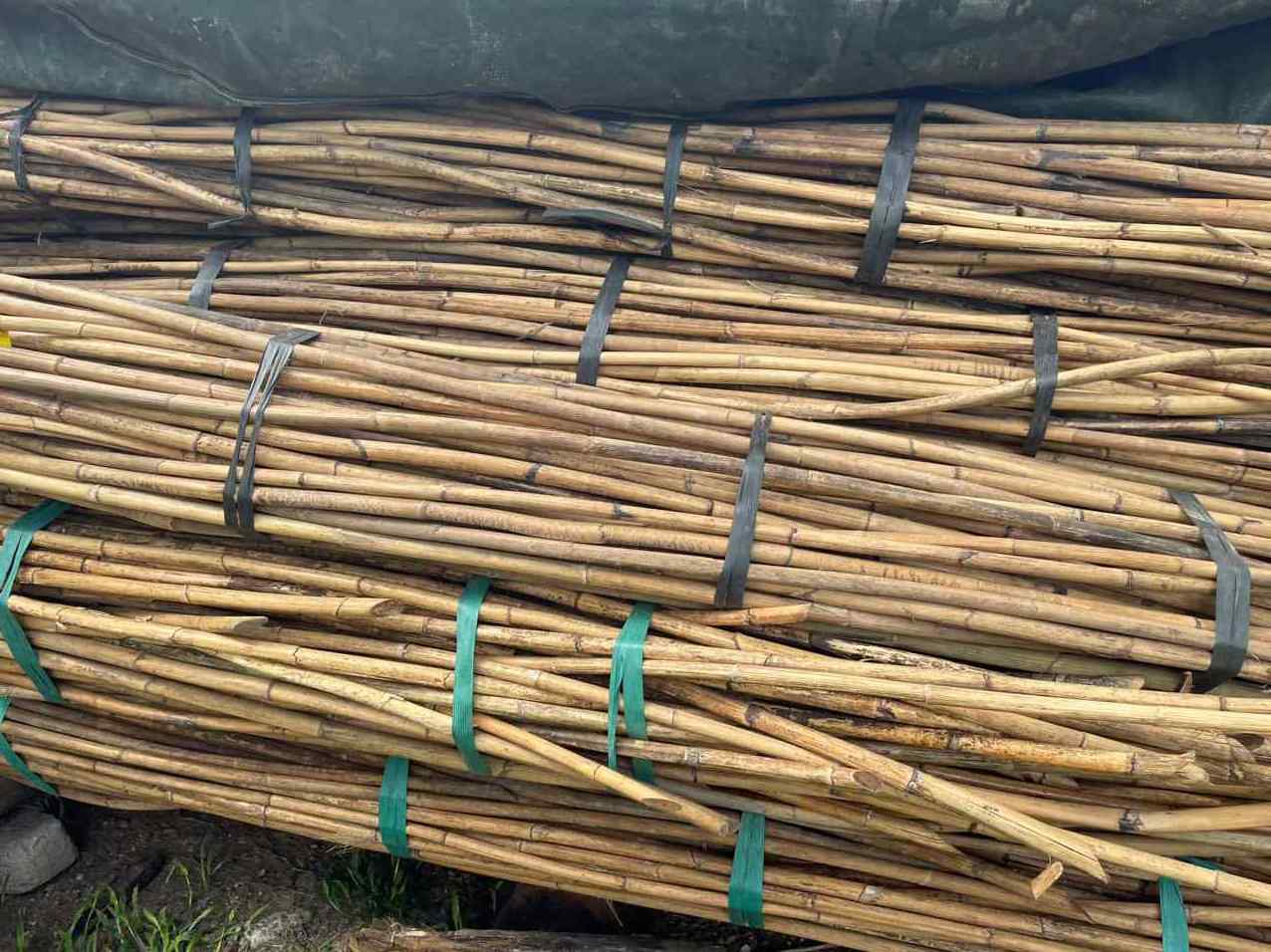 Raw Manau Rattan Bamboo Cane/Rattan Poles/ Wholesale Straight Rattan with Strong Blue Lotus Farm