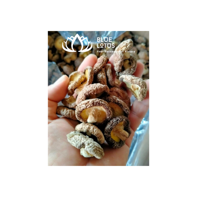 DRIED SHIITAKE MUSHROOM FROM VIETNAM