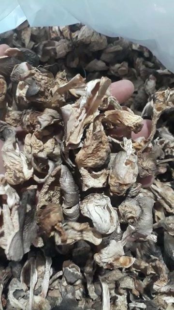 LOW PRICE AND HIGH QUALITY DRIED STRAW MUSHROOM - Good Product From Vietnam - Agricultural Products Rich In Nutrients