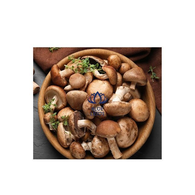 Organic Dried Shiitake Mushroom