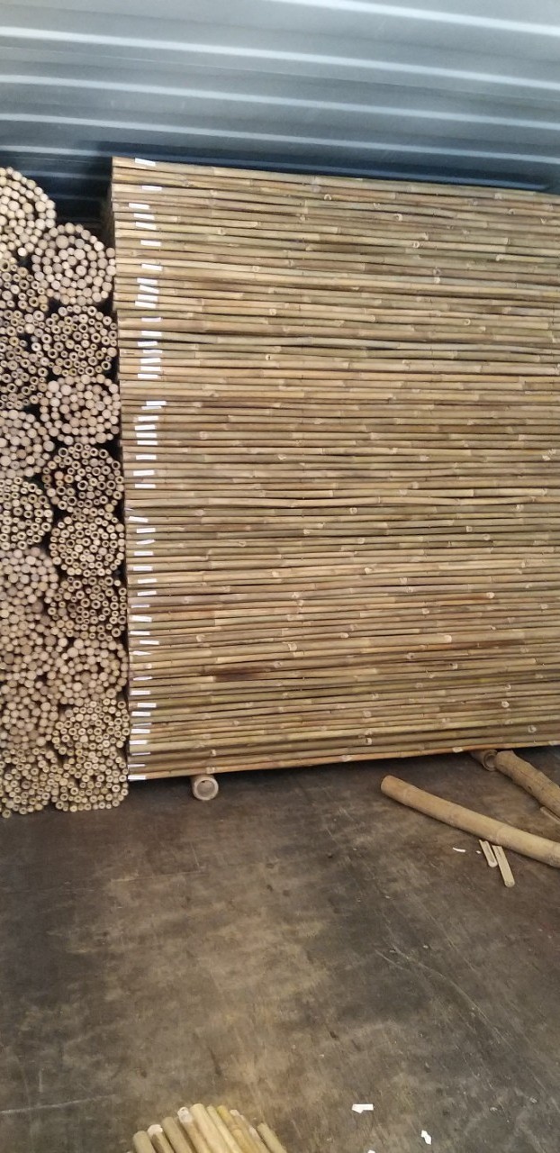 Bamboo Poles Nature Raw Bamboo Poles Straight Pole Bamboo From Planted Forest Viet Nam