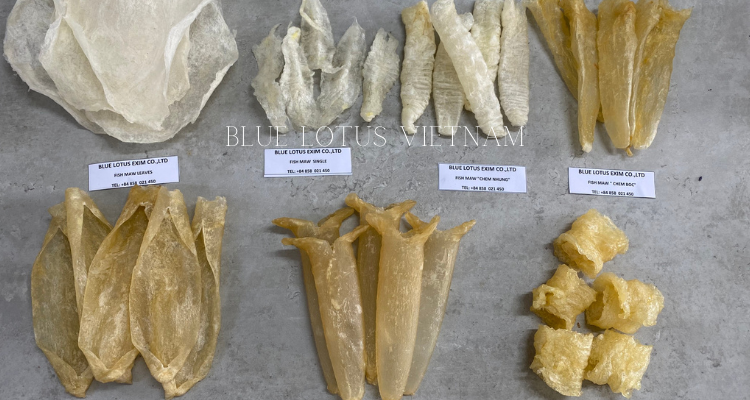 Best Price Premium Quality Dried Fish Maw from Vietnam with Proteins and Nutrients For Cooking Cosmetic ALL SIZES - David Phan