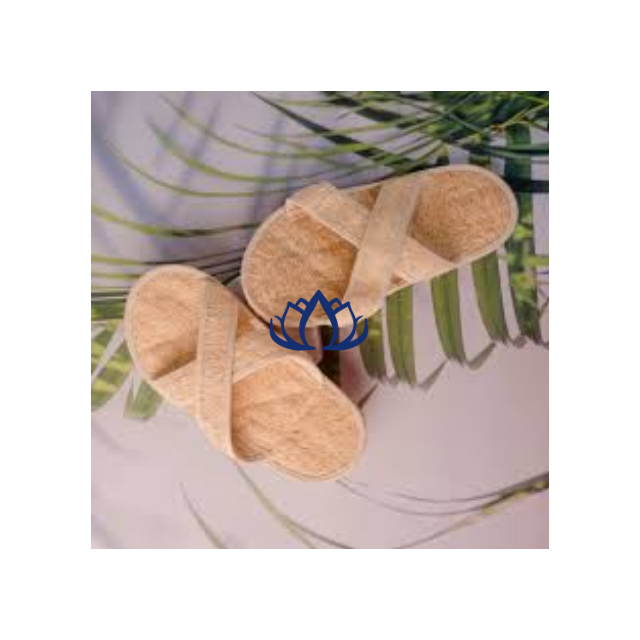 Wholesale Summer Indoor Outdoor Flip Flops Slippers for Women, Men, Adults, and Children; Loofah Slipper, Clean Stress