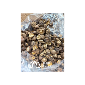 DRIED SHIITAKE MUSHROOM FROM VIETNAM