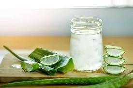 Aloe Vera Pulp