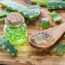 Aloe Vera Pulp