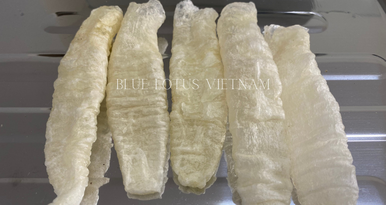 Best Price Premium Quality Dried Fish Maw from Vietnam with Proteins and Nutrients For Cooking Cosmetic ALL SIZES - David Phan