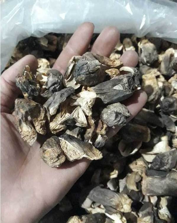 LOW PRICE AND HIGH QUALITY DRIED STRAW MUSHROOM - Good Product From Vietnam - Agricultural Products Rich In Nutrients