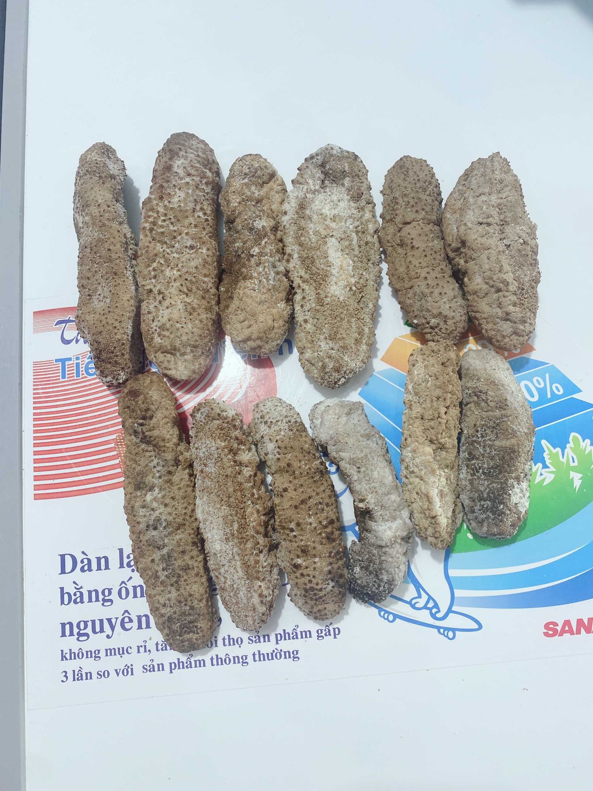 Sun Dried Curry Fish Black Sea Cucumber Curry Fish