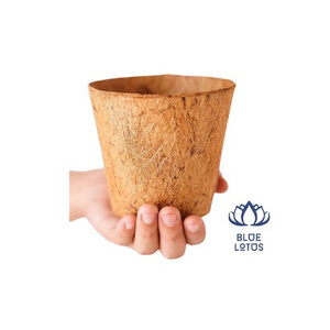 Ecofriendly Coir Pot coconut fiber Plant Grow Flower Pot Vase Heat Pressed Soil Pot Blue Lotus 2024 Agriculture