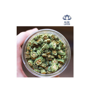 Vegetables Green Organic Healthy And Nutritious Instant Freeze Dried Okra Dry Vegetable Vacuum