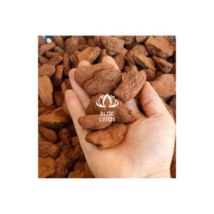 Best Product made in Viet Nam Pine Bark product best price from Blue Lotus Farm Hot product 100% origin Viet Nam