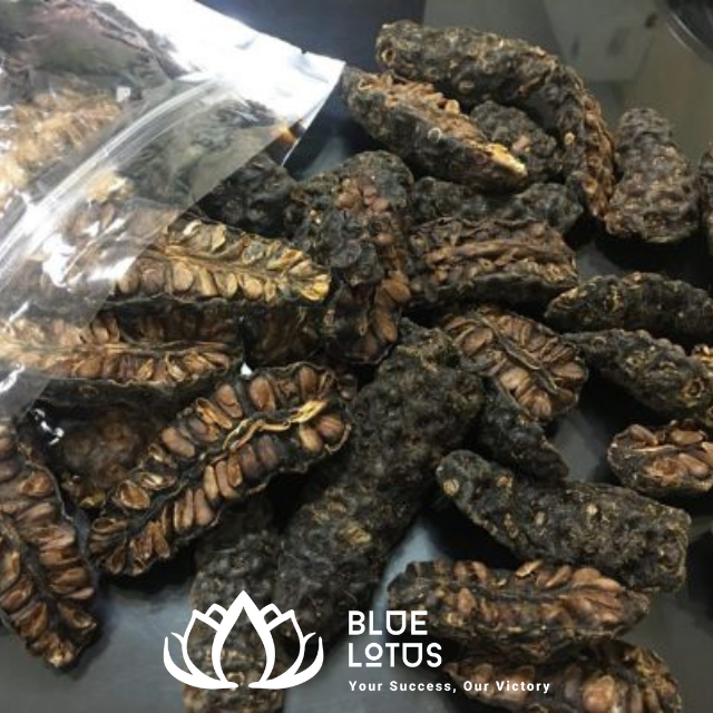 DRIED NONI FRUIT FROM VIETNAM