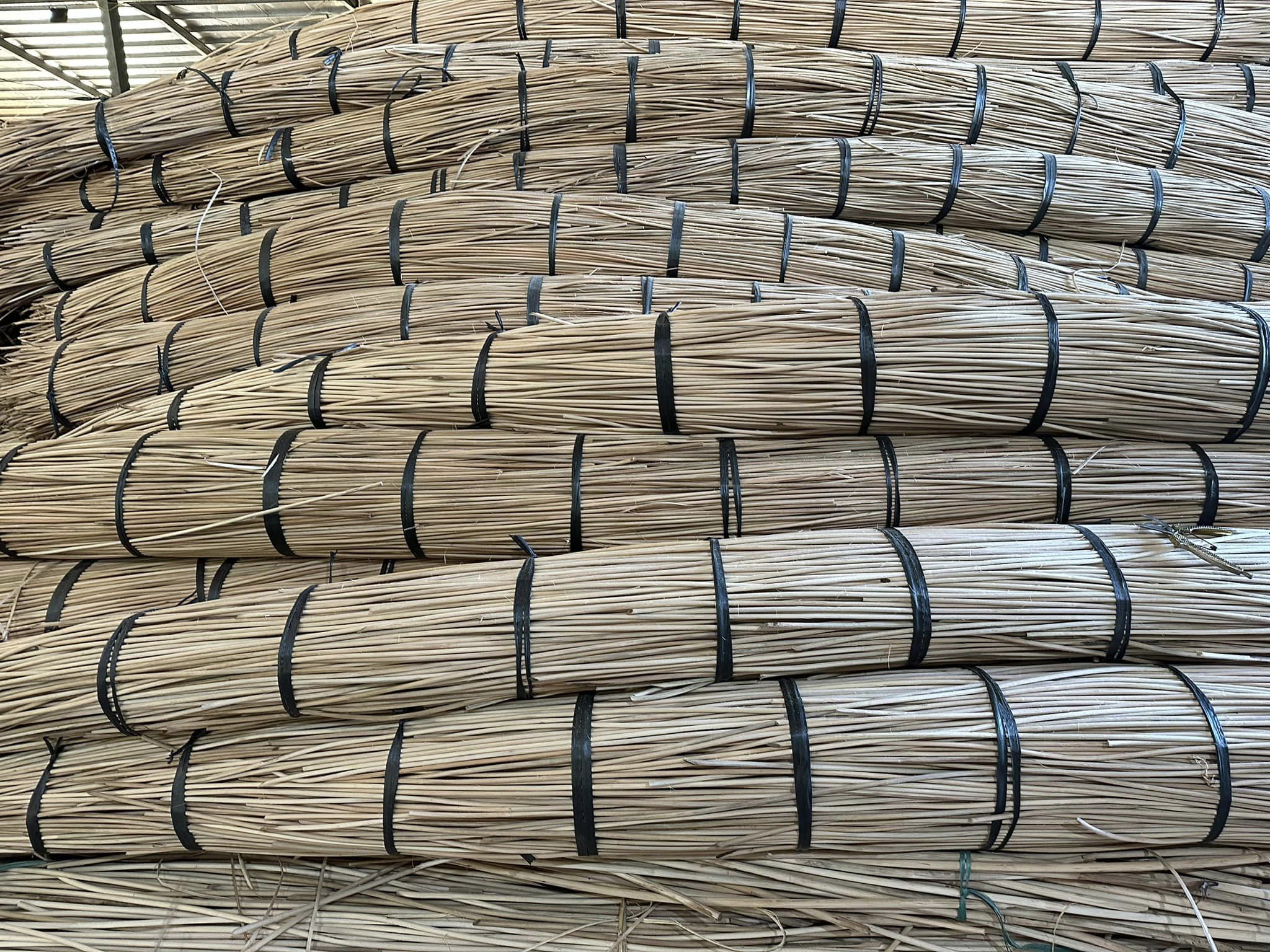 Raw Manau Rattan Bamboo Cane/Rattan Poles/ Wholesale Straight Rattan with Strong Blue Lotus Farm