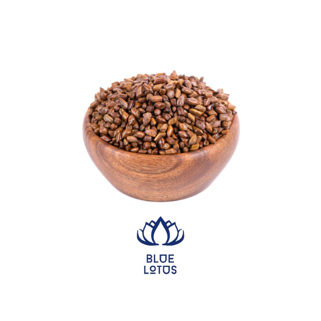 HIGH QUALITY CASSIA TORA SEED FROM VIETNAM