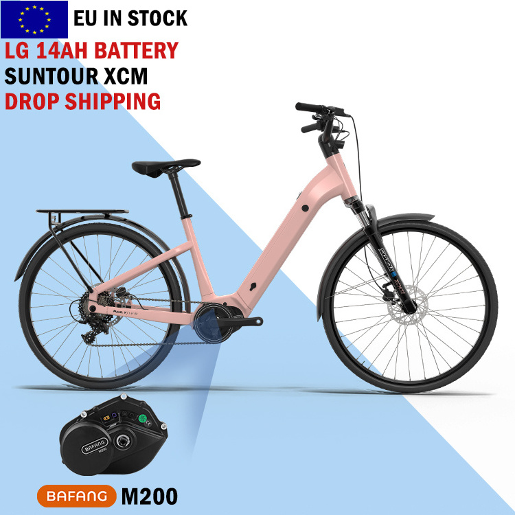 BAFANG MM G210.250.C 250w electric beach cruiser bicycle mid drive motor electric hybrid bike