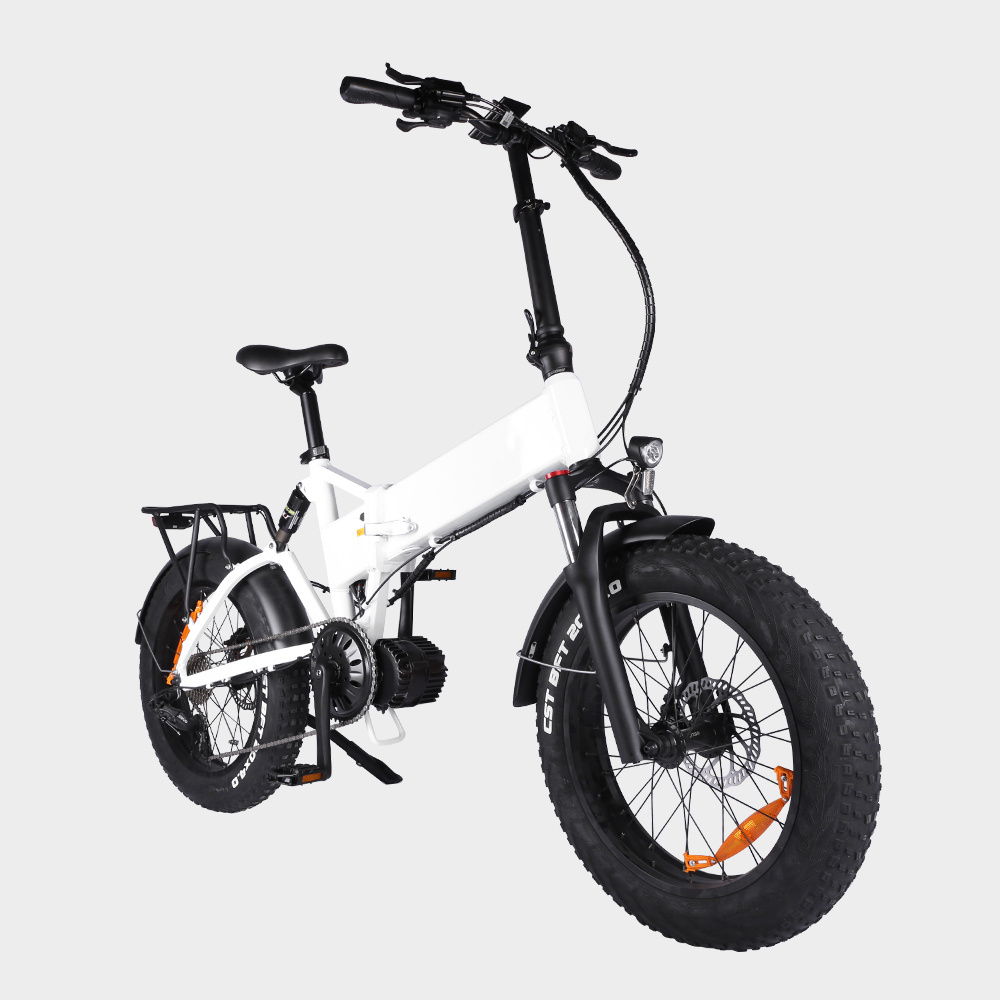 Accolmile enduro ebike 1000 watt 20 inch Bafang mid drive motor electric bike fat wheel bike fat bike