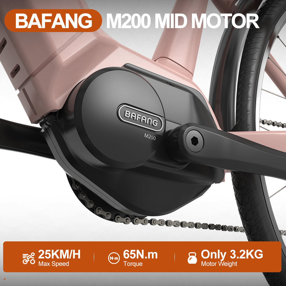 BAFANG MM G210.250.C 250w electric beach cruiser bicycle mid drive motor electric hybrid bike