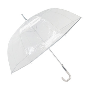 Transparent umbrella dome female rain women large wedding bubble ladies umbrella clear