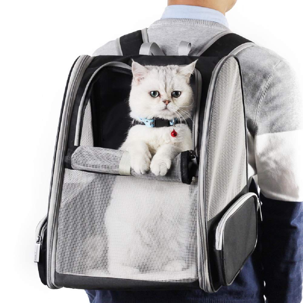 Outside Premium Luxury Custom Large Pet Backpack Carrier Collapsible Buckle Support With Safety Straps For Small Cat Dog