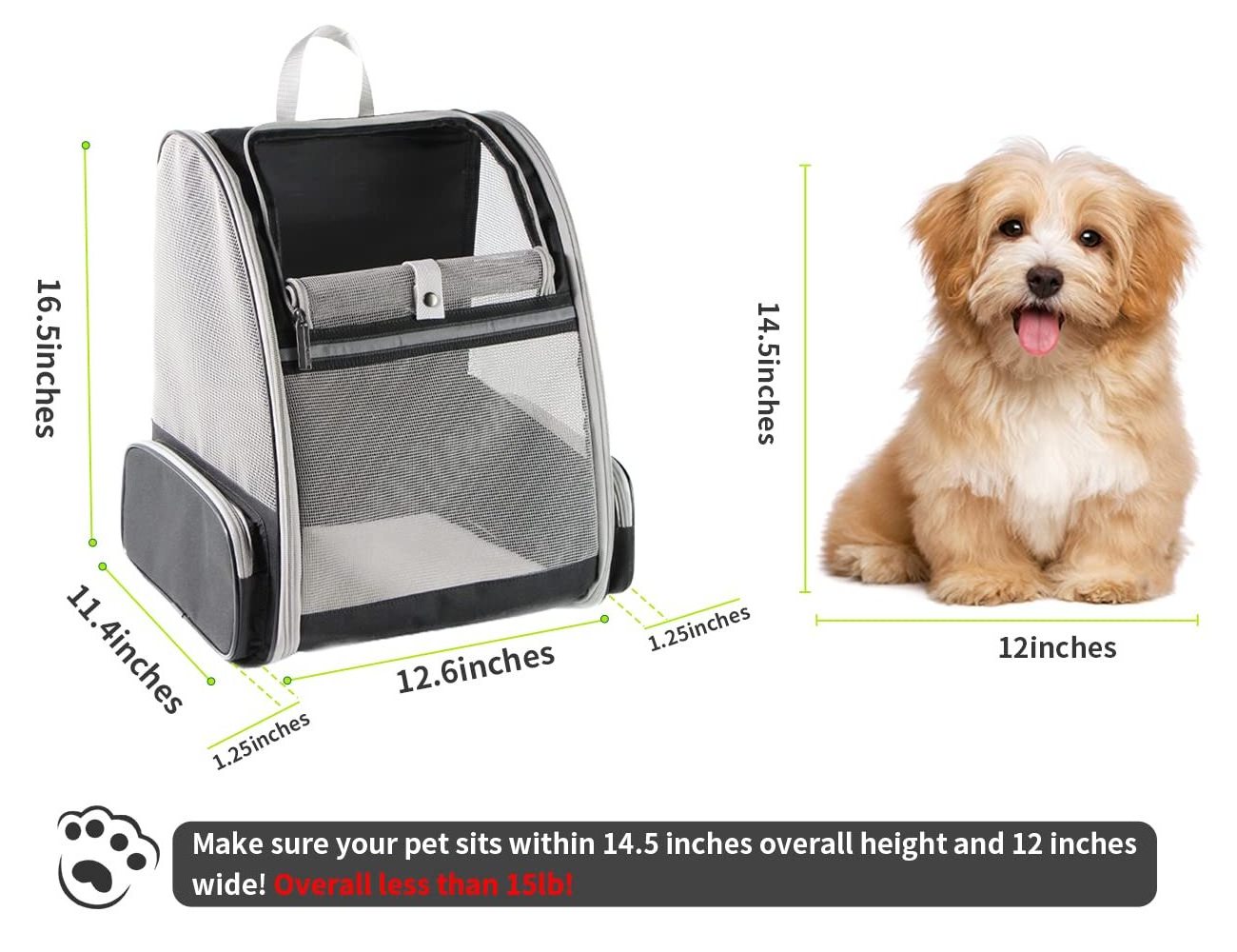 Outside Premium Luxury Custom Large Pet Backpack Carrier Collapsible Buckle Support With Safety Straps For Small Cat Dog