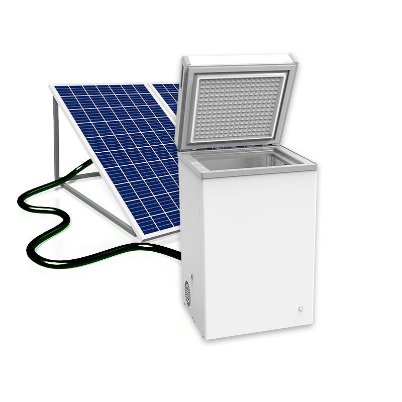 66L 99L 135L Solar Powered Portable Refrigerator Solar Deep Freezer Dc Compressor Solar Freezer